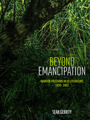 cover image of Beyond Emancipation